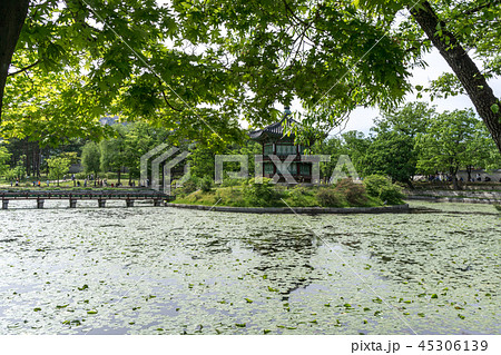 hyangwonjeong during summer 45306139