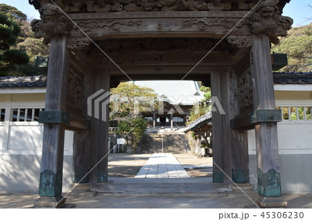 龍口寺 藤沢市 龍口寺 藤沢市 45306230
