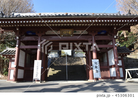 龍口寺　藤沢市 45306301