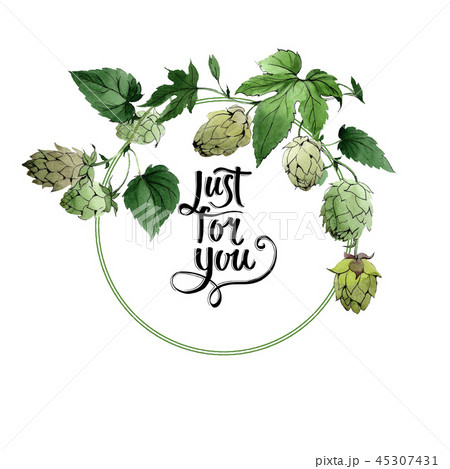 Hops. Green leaf. Frame border ornament. Just for you handwriting monogram calligraphy. Garden Hops. Green leaf. Frame border ornament. Just for you handwriting monogram calligraphy. Garden 45307431