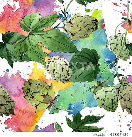 Hops. Green leaf. Botanical garden floral foliage. Watercolor background illustration set Hops. Green leaf. Botanical garden floral foliage. Watercolor background illustration set 45307485