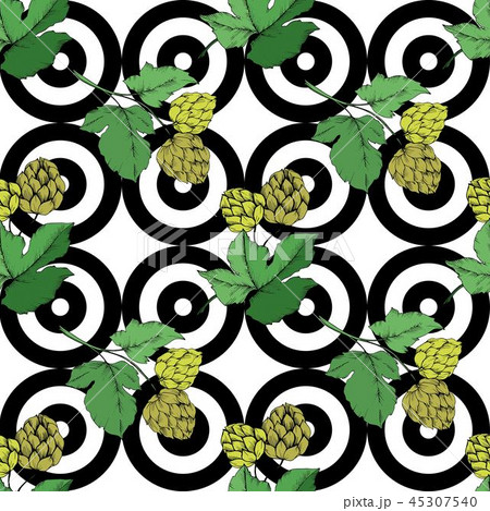 Vector. Black and white engraved humulus ink art. Green leaf. Leaf plant Vector. Black and white engraved humulus ink art. Green leaf. Leaf plant 45307540