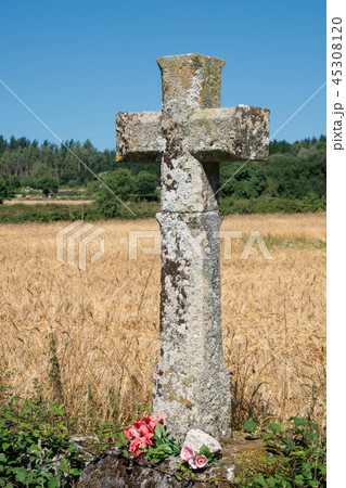 Pilgrimage on the Camino de Santiago trail, Spain 45308120