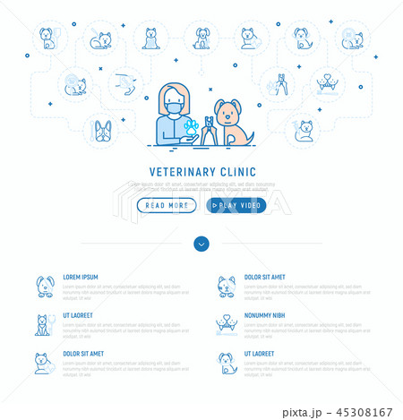 Veterinary clinic concept. Thin line icons 45308167