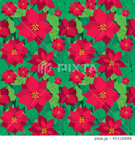 Vector Christmas seamless pattern red Poinsettias Vector Christmas seamless pattern red Poinsettias 45310688