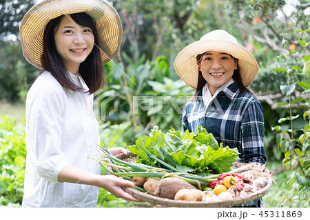 農業　野菜　生産者　収穫　農家 45311869