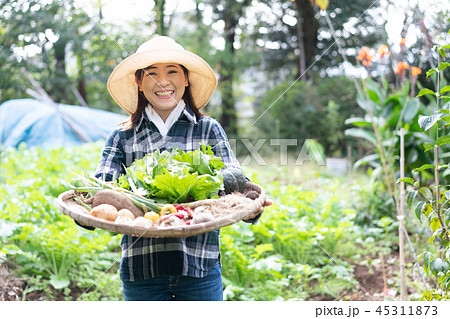 農業 野菜 生産者 収穫 農家の写真素材