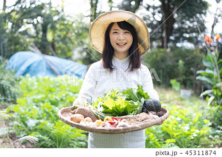農業 野菜 生産者 収穫 農家 農業 野菜 生産者 収穫 農家 45311874