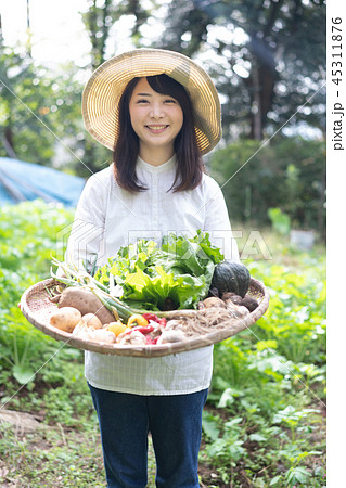 農業 野菜 生産者 収穫 農家 農業 野菜 生産者 収穫 農家 45311876