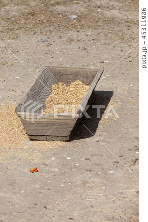 old wooden trough old wooden trough 45311986