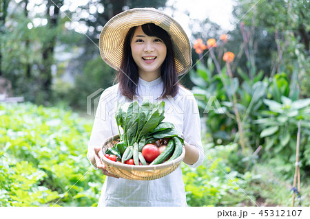 農業 野菜 生産者 収穫 農家の写真素材