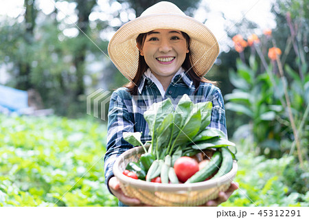 農業 野菜 生産者 収穫 農家の写真素材