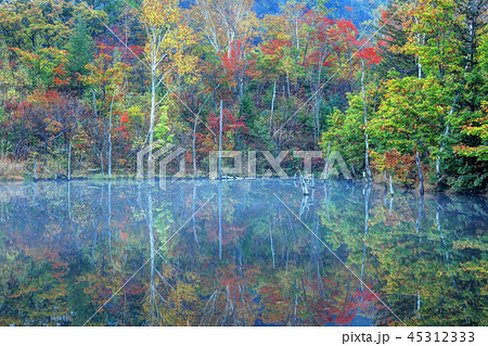 秋色に染まるまいめの池 45312333