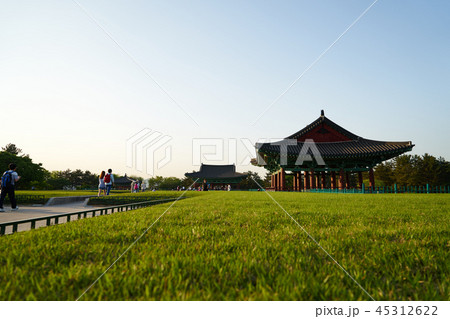 風景 雁鴨池 慶州市 45312622