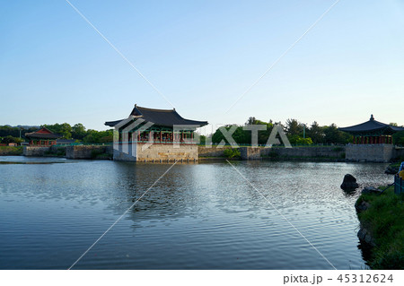 池 雁鴨池 風景 45312624