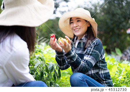 農業　体験　観光　旅行　野菜　生産者　収穫　農家 45312730