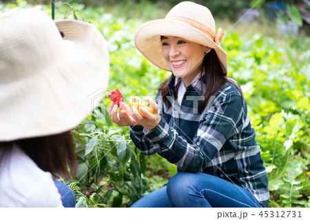 農業　体験　観光　旅行　野菜　生産者　収穫　農家 45312731