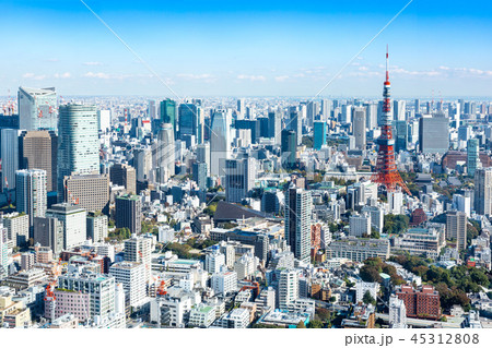 (東京都-都市風景)展望台から見る東京湾側風景8 (東京都-都市風景)展望台から見る東京湾側風景8 45312808