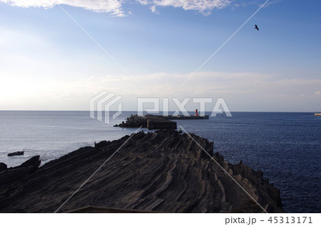 三浦半島：城ケ島灘ケ崎からの展望 45313171