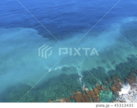 珊瑚礁の海 45313435