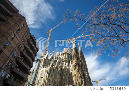 sagrada familia cathedral looking up sagrada familia cathedral looking up 45313689