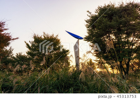 seoul forest park reeds 45313753