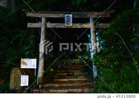 祇園神社 祇園神社 45313800