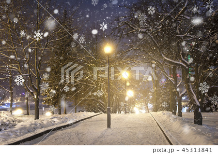 Evening winter park in snowfall. Christmas time 45313841