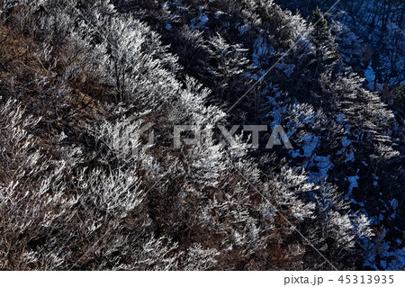 御坂山地・鬼ヶ岳の樹氷の山肌 御坂山地・鬼ヶ岳の樹氷の山肌 45313935