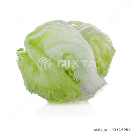 Fresh lettuce isolated on white background. Fresh lettuce isolated on white background. 45314966
