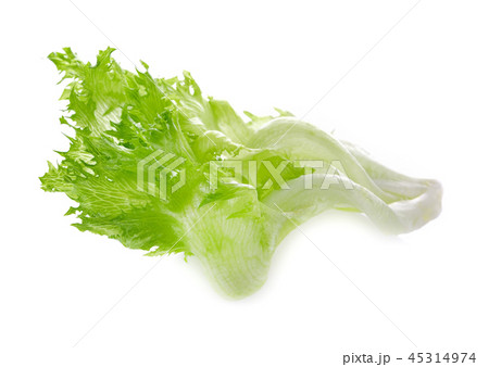 lettuce leaves isolated on white background. lettuce leaves isolated on white background. 45314974