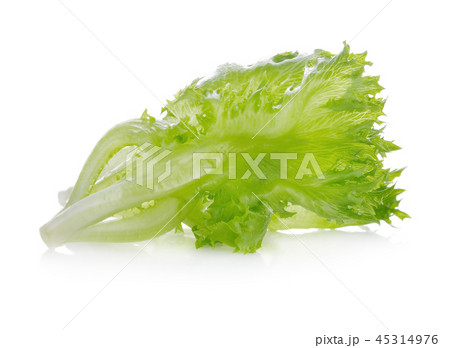 lettuce leaves isolated on white background. 45314976