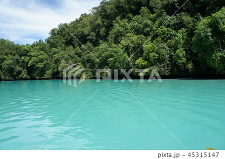 ミルキーウェイ 45315147