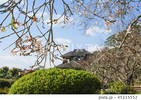 偕楽園の好文亭と二季桜　 45315552