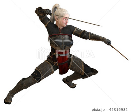 Woman elf warrior with swords isolated on white background 3D illustration 45316982