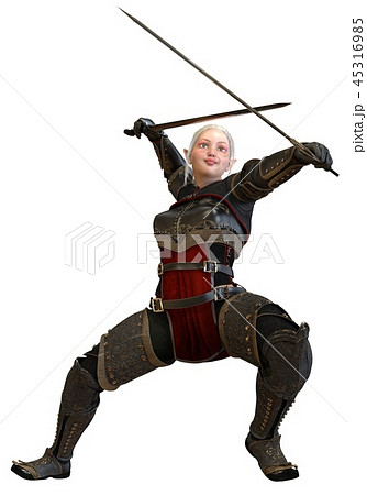 Woman elf warrior with swords isolated on white background 3D illustration 45316985