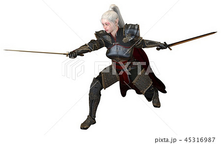 Woman elf warrior with swords isolated on white background 3D illustration 45316987