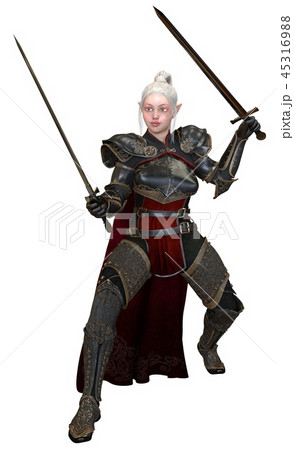 Woman elf warrior with swords isolated on white background 3D illustration 45316988