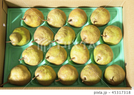 ラ・フランス ラ・フランス 45317318