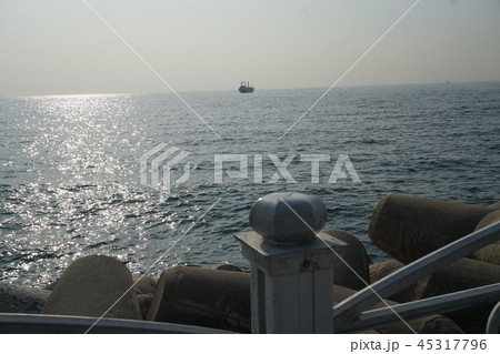 view1 view1 45317796