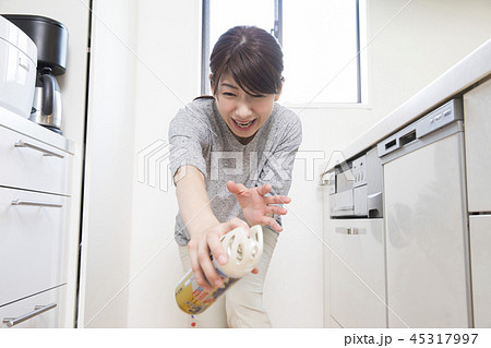 殺虫剤を撒く女性 45317997