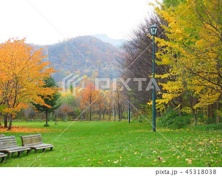 北海道紅葉風景素材 45318038