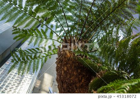 銀座ソニーパーク 銀座ソニーパーク 45318072