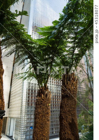 銀座ソニーパーク 45318077