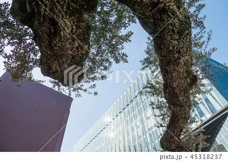 銀座ソニーパーク 銀座ソニーパーク 45318237