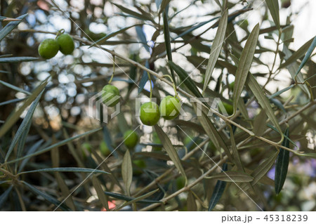 銀座ソニーパーク 45318239
