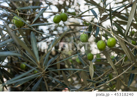 銀座ソニーパーク 銀座ソニーパーク 45318240