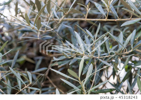 銀座ソニーパーク 銀座ソニーパーク 45318243