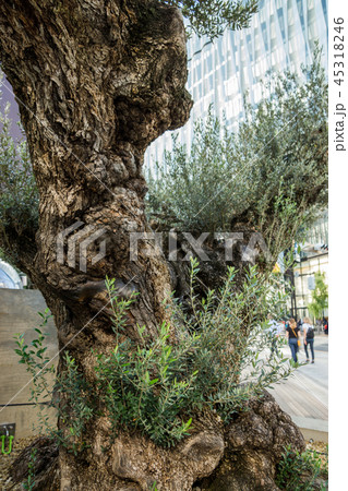 銀座ソニーパーク 銀座ソニーパーク 45318246