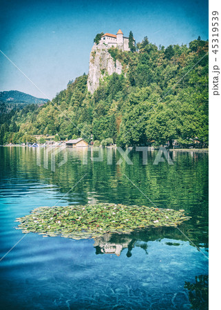 Lake Bled with waterlilies and mirrored castle 45319539